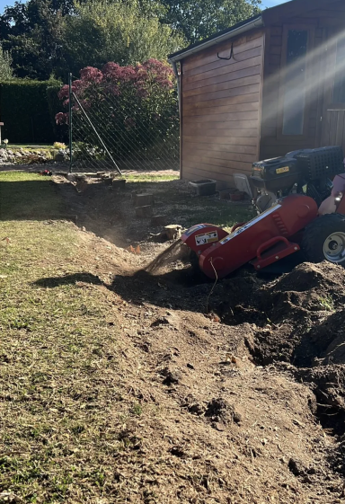 Fräsen-Baumstumpfentfernung