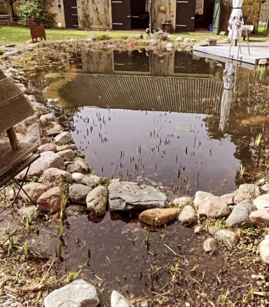 Teichreinigung-Grünpflege